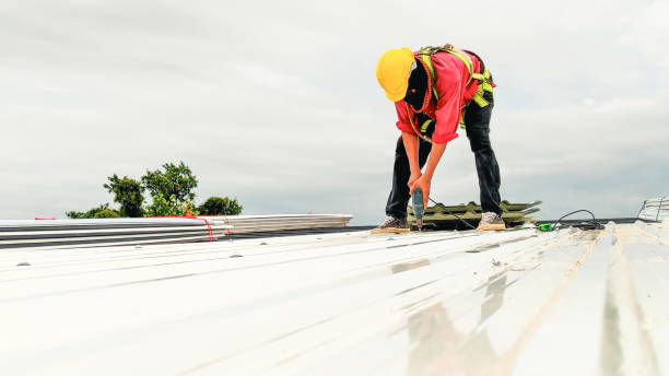 Best Cold Roofs  in Bridgeport, IL