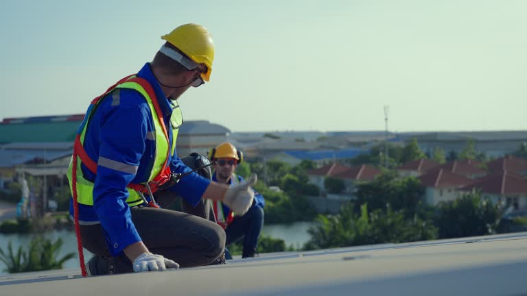 Best Roof Ventilation Installation  in Bridgeport, IL