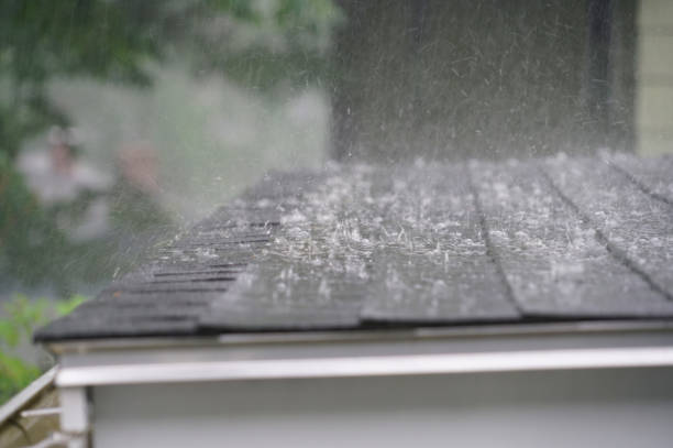 Best Rubber Roofing (EPDM, TPO)  in Bridgeport, IL