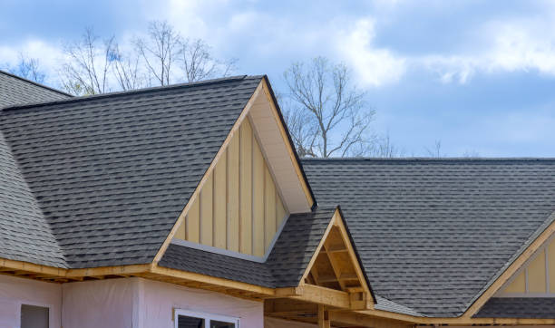 Best Roof Leak Repair  in Bridgeport, IL