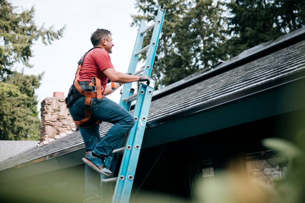 Best Metal Roofing Installation  in Bridgeport, IL