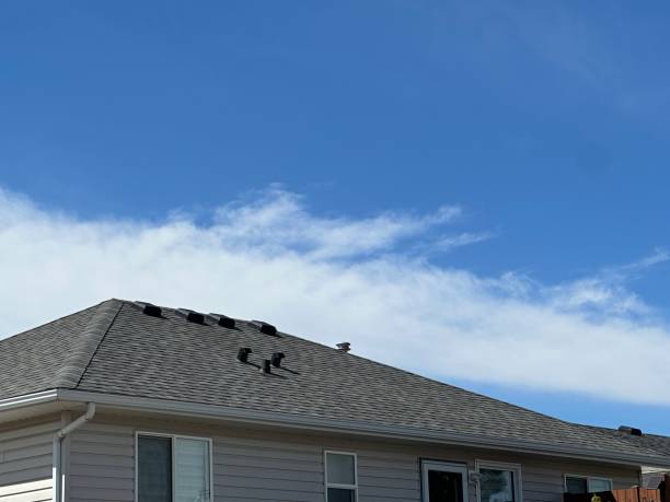 Best Tile Roofing Installation  in Bridgeport, IL